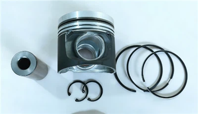 04284390 Piston Kit For Deutz BF4M2012